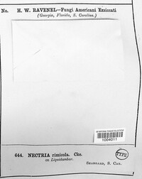 Image Associated With the Occurence